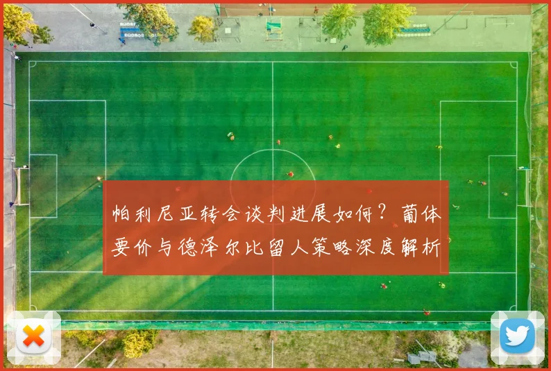 帕利尼亚转会谈判进展如何？葡体要价与德泽尔比留人策略深度解析